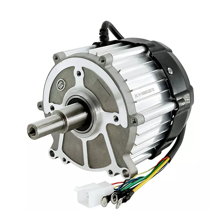 Electric tricycle motor 24V 48V 60V 550W 800W 1000W 1500W mechanical equipment BLDC motor