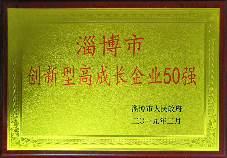 Zibo Innovative High Growth Enterprise Top 50 Certificate