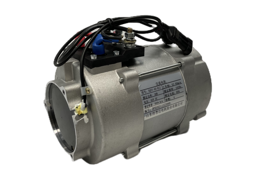 3KW60VDC AC motor