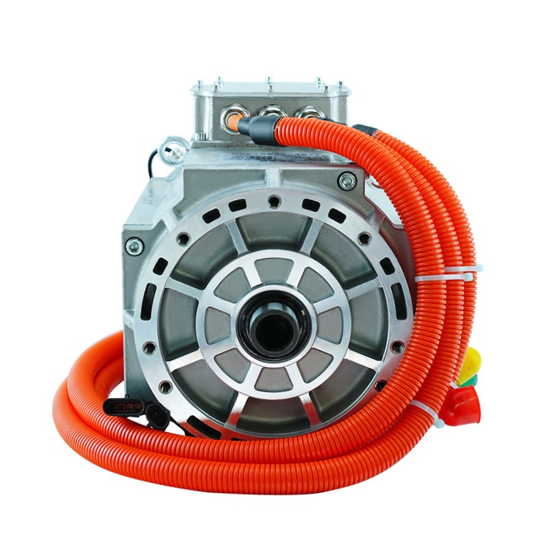 Why does the permanent magnet motor lose magnetism?