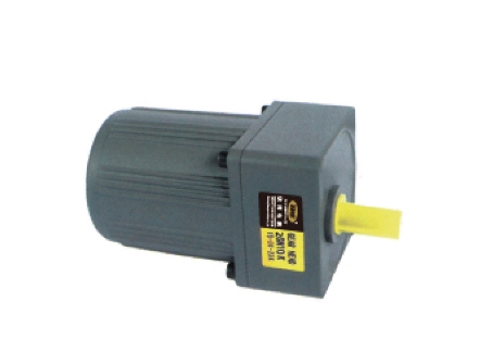 6W/10W induction motor
