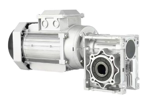 RV worm gear AC motor